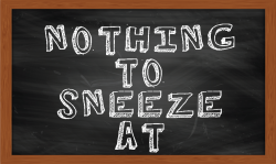 Nothing to Sneeze At - Debbie Nicholson